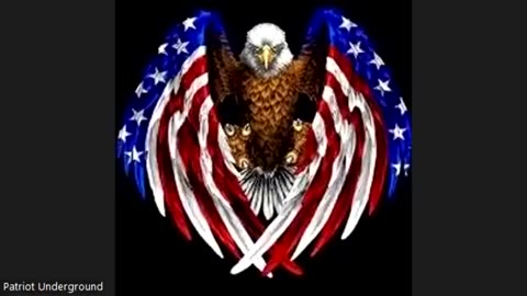 Patriot Underground Episode 331