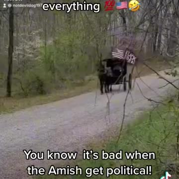 How Bad Can it Be When The Amish Get Political?!