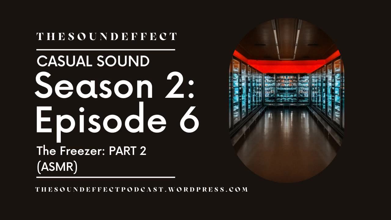 Casual Sound | Season 2: Episode 6 | The Freezer: PART 2 (ASMR)