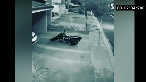 Funny bile video