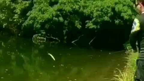 Arremesso perfeito