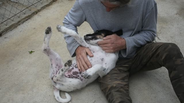 Abandoned Puppies Playing