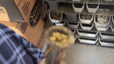 Day 189 pt3 Technoenforcinator