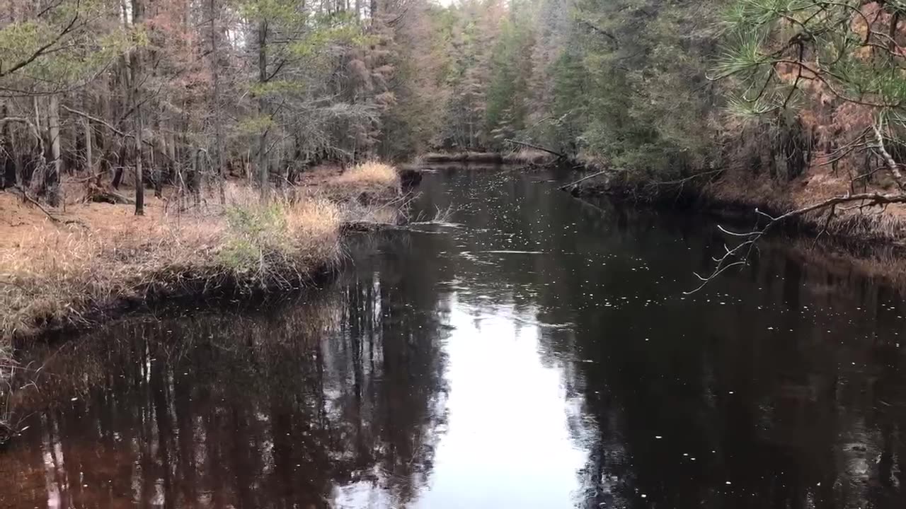 Morning Chat with River View!