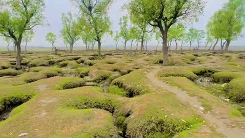 Nature queen of Bangladesh