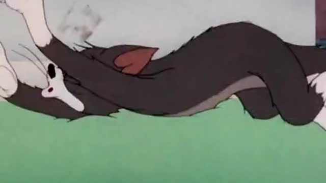 tom and jerry cat