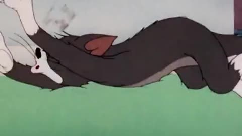 tom and jerry cat