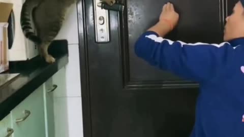 Teach cat how to open the door 🥺