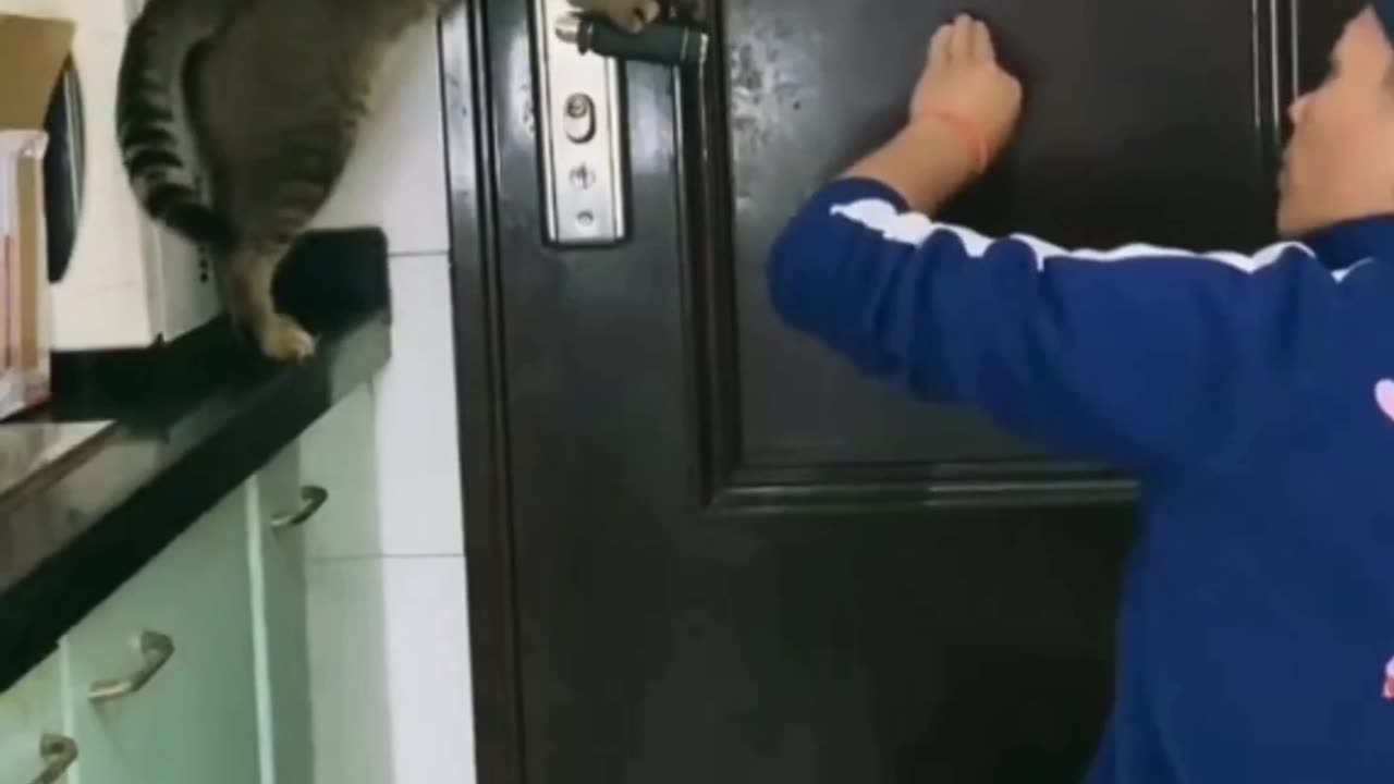 Teach cat how to open the door 🥺