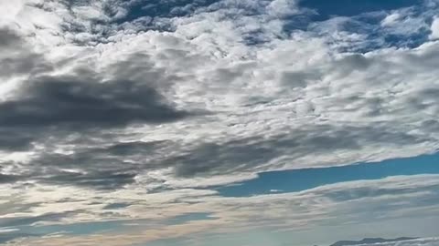 Amazon view point