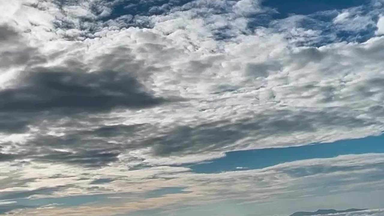 Amazon view point