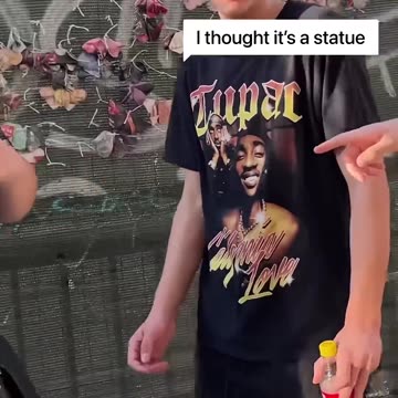 Which one is your favorite reaction 😁💃🏼😅