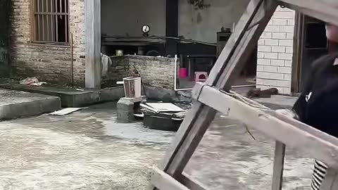 Best funny video
