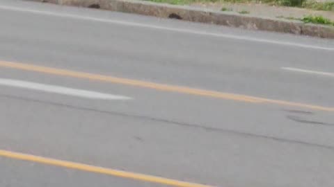 Joseph Martelli jjm7777 Niagara Falls panhandler buys Poppa John's pizza