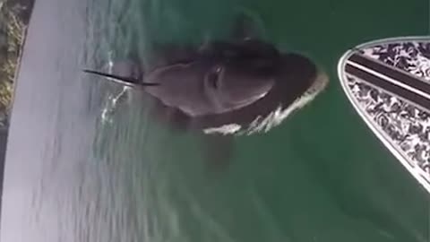 I would be so scared 😵🥰