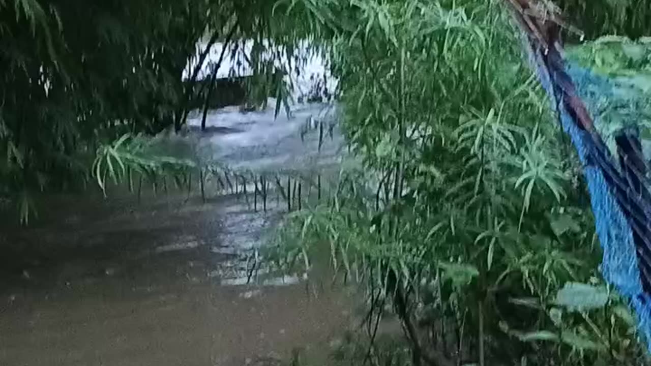Have rain 🌧️🌧️☔☔// # YouTube #short