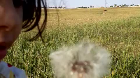 This little girl does miracles