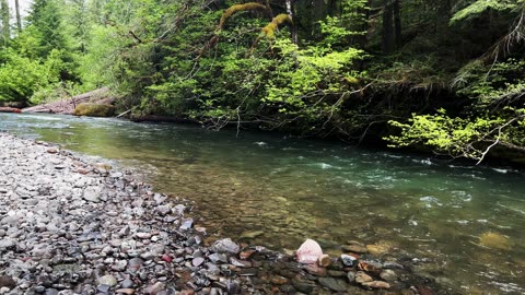 2+ MINUTES OF SOOTHING SILENCE! | House Rock Campground @ South Santiam River! | Central Oregon | 4K