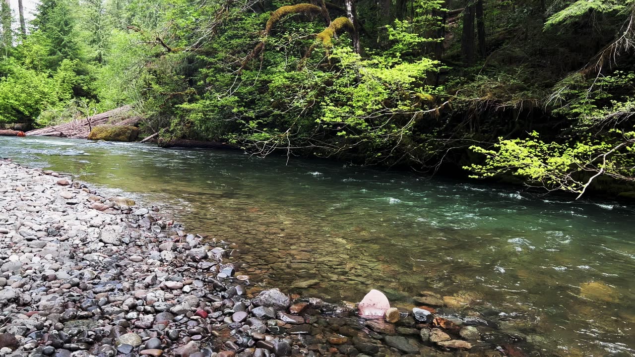 2+ MINUTES OF SOOTHING SILENCE! | House Rock Campground @ South Santiam River! | Central Oregon | 4K