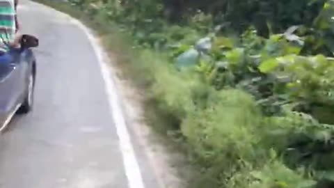 Man on Bike chased by tiger | Nearly died