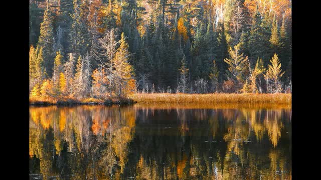 One Of The Most Beautiful Pieces Of Music Ever Written