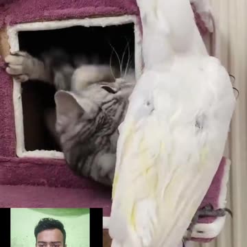 This is my house. why are you in my room let me go to my room