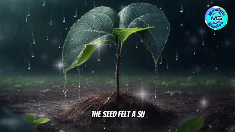 A little seed's big dream!