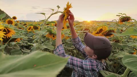 Agricultural and Food Science Technician Career Video(1)