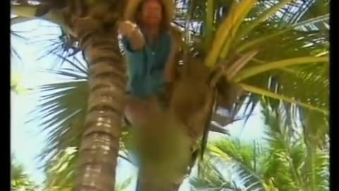 Laid Back - Sunshine Reggae