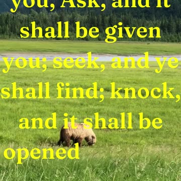 And I say unto you, Ask, and it shall be given you; seek, and ye shall find; knock