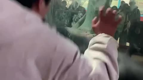 🦍🤺