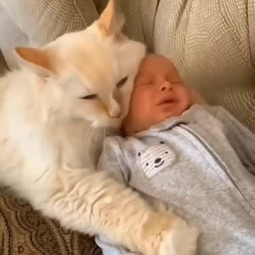 Baby and cat love 😘😍❤️💜🤩💗💘💝💕 friendship and care💜💘💝❤️💜😍😘💕🌈🥰😂