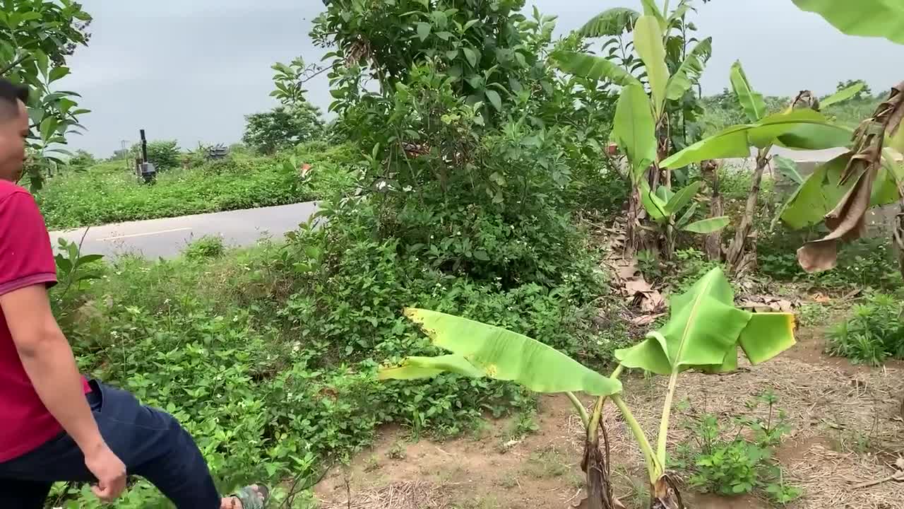 #Sony 4K FDR-X1000v _ Restoring Action Camera