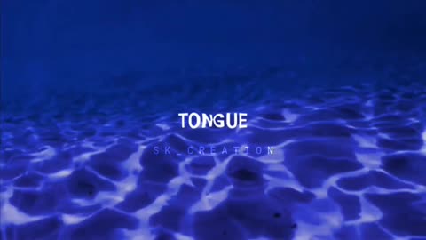 SENORITA | Aesthetic (Lofi + Slowed)