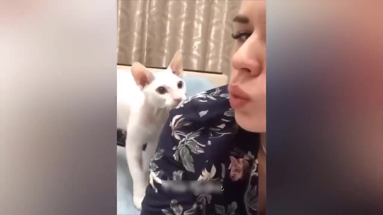 funny video viral#