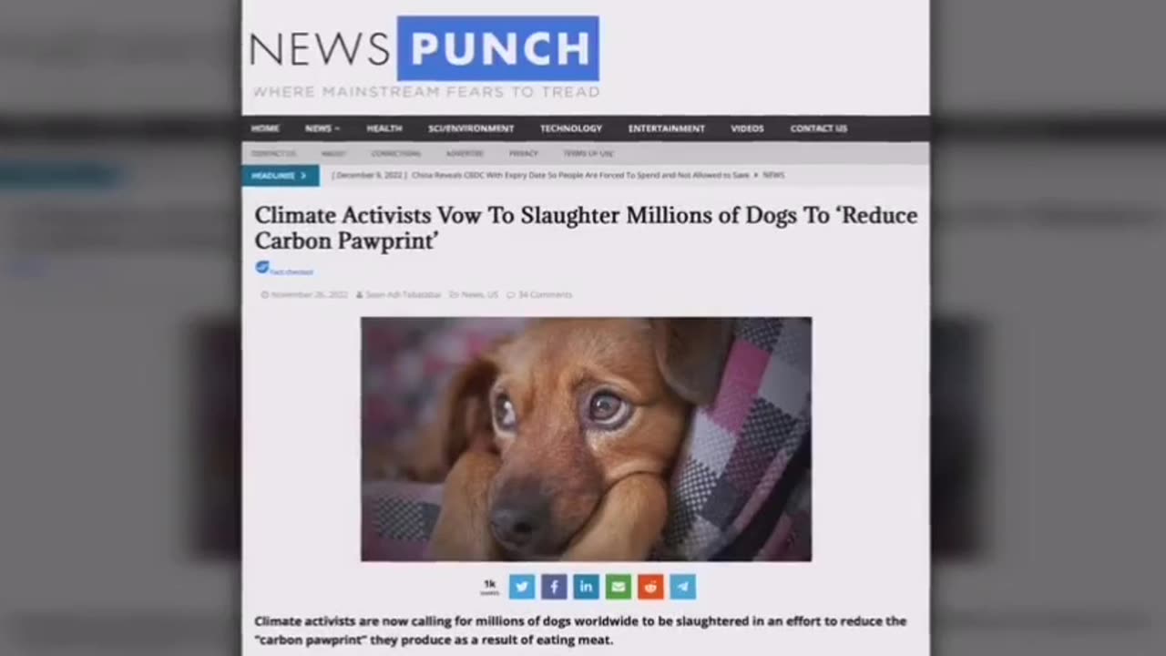 THE WEF BACKED BY MSM ARE CALLING FOR YOU TO KILL YOUR PETS TO ‘SAVE THE PLANET’