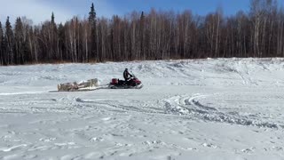 Alaska log pulling