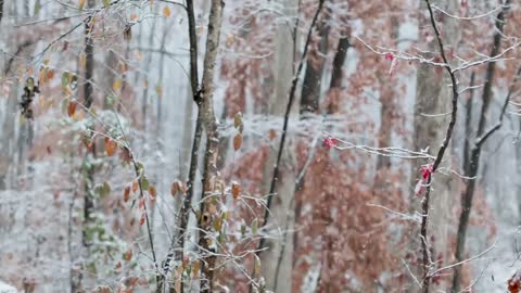 winter