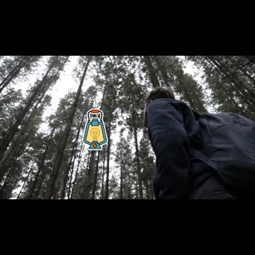 How to Survive 2024?