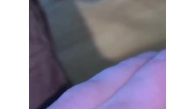 Spiders are cute. Anyone scared