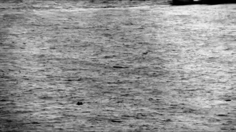 Coast Guard, Navy rescue 4 missing male divers 46 miles southeast of Cape Fear River