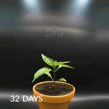 The magic of life is all around us