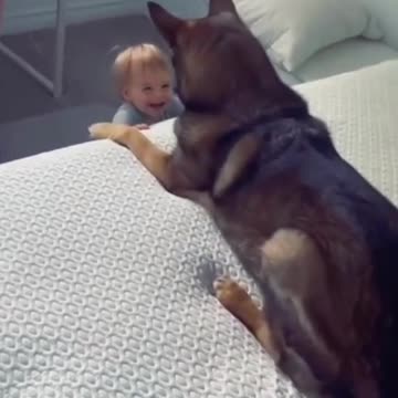 A Baby and It's Furry Friend