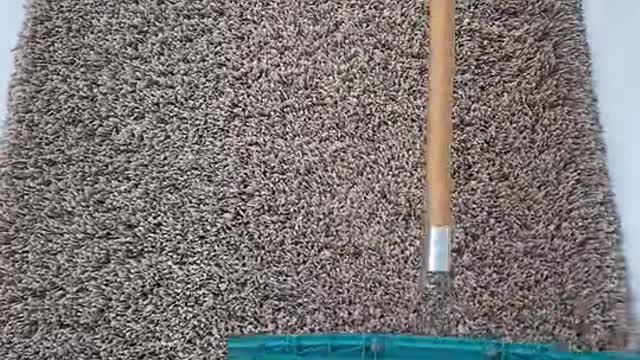 #carpetraking #carpetgrooming