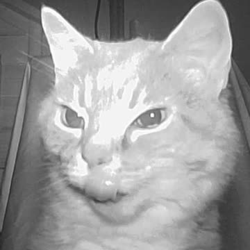 EA S9 - Mini Episode