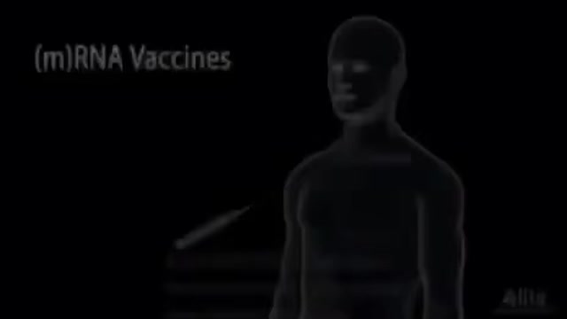 What happens when the mRNA enters the body