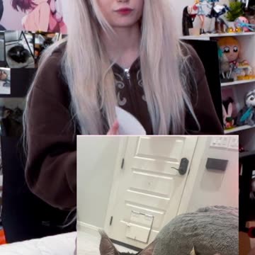 BUNKI PIC TIER LIST TO DAY W