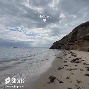 ASMR Sea Sounds on the Beach: Recharge Your Mind and Body with Coastal Therapy Vol 145