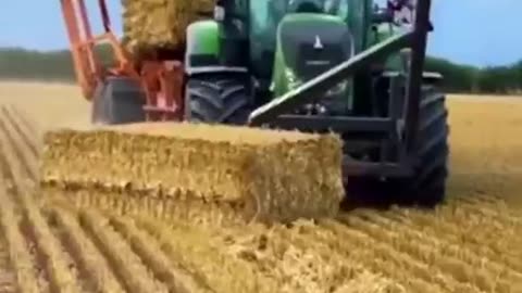 Machine Showcase: A Masterpiece of Mechanical Innovation"