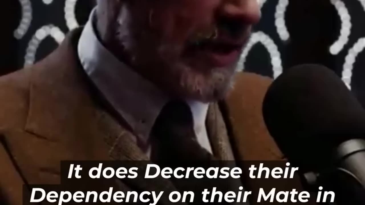 That's the Best PREDICTOR of their Future ECONOMIC SUCCESS!" - Jordan Peterson #shorts